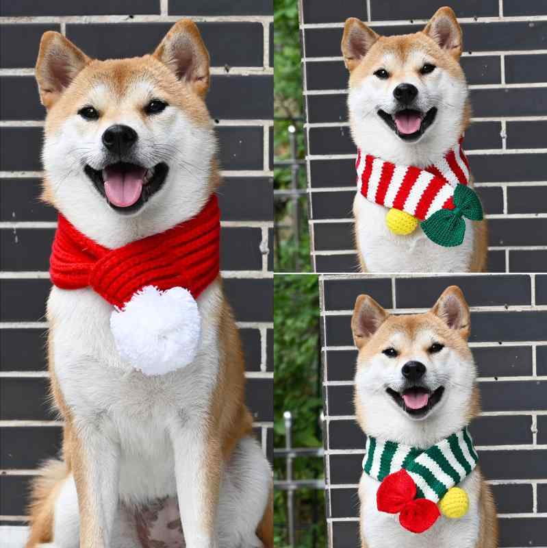 ペット用マフラー 猫 犬 柴犬 コーギー テディ 秋冬 保温 防寒 毛糸 ニット クリスマス イベント ネックウォーマー