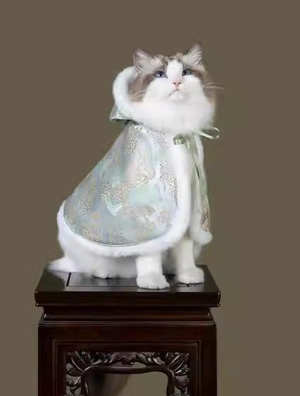 ペット用ケープ 男の子 女の子 犬猫 小型犬用 お正月 中国風 保温 防寒 中綿入り ファー襟 ポンチョ ショール 冬 ローレルグリーン コバルトブルー