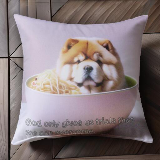 ラーメン チャウチャウ どんぶり クッションカバー 45×45cm アニマル柄 おしゃれ 可愛い クッション本体付き 正方形