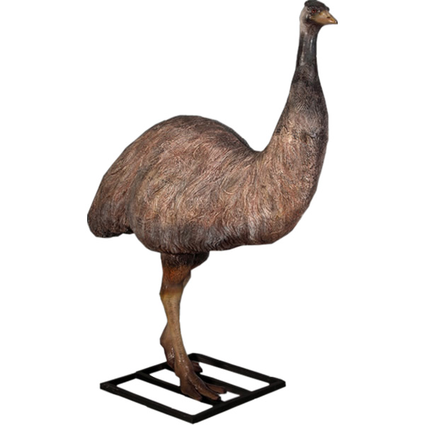 FRPアニマルオブジェ エミュー 置物 動物 とり トリ 鳥 動物園 店舗 カフェ 喫茶店 レストラン 飲食店 インテリア イベント ディスプレイ 実物大 等身大 リアル 【whlny】