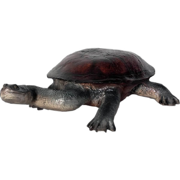 Frpアニマルオブジェ 首の長い亀 即納可 置物 動物 カメ かめ 動物園 水族館 店舗 カフェ 喫茶店 レストラン 飲食店 インテリア イベント ディスプレイ 実物大 等身大 リアル Whlny Prescriptionpillsonline Is