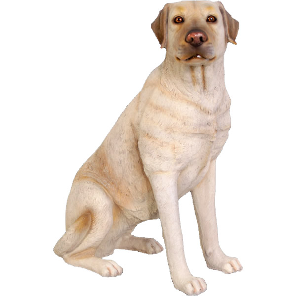 楽天市場】おすわりをするラブラドール Sitting Labrador 強化
