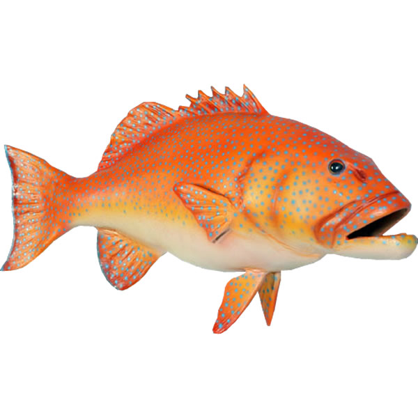 魚 巨大 特大 オブジェ 置物 飾り 楽天市場】FRPアニマルオブジェ コーラルトラウト Coral Trout