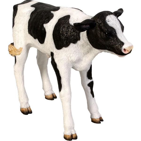 楽天市場】生まれたての乳牛 New Born Calf 強化プラスチック