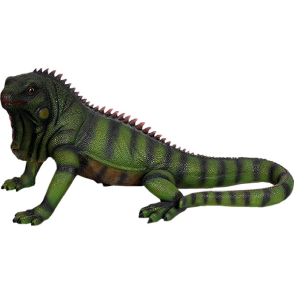 楽天市場】イグアナ 爬虫類置物 イグアナの置物リアルな置物 山下くん