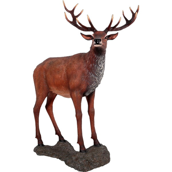 楽天市場】堂々とした雄鹿 Majestic Red Stag 強化プラスチック（FRP