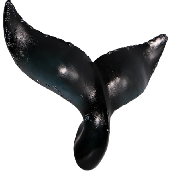 イルカ　FRP オブジェ FRP製オブジェ イルカ : セレクトショップ月うさぎ - 通販