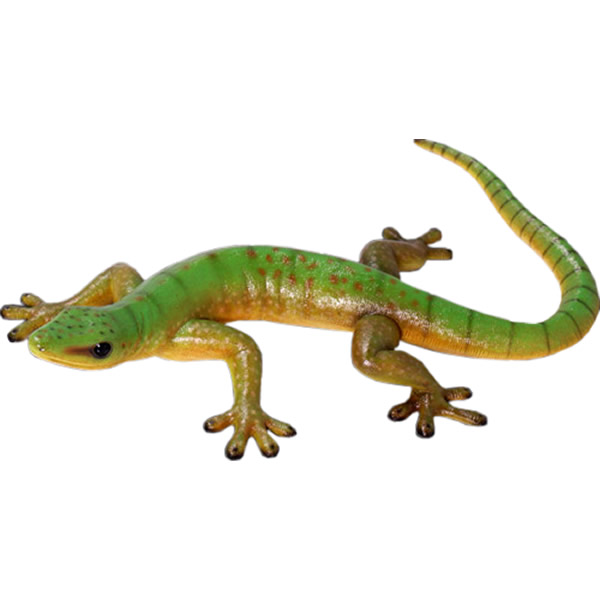 楽天市場】FRPアニマルオブジェ ヤモリ 60cm Gecko リアル 爬虫類