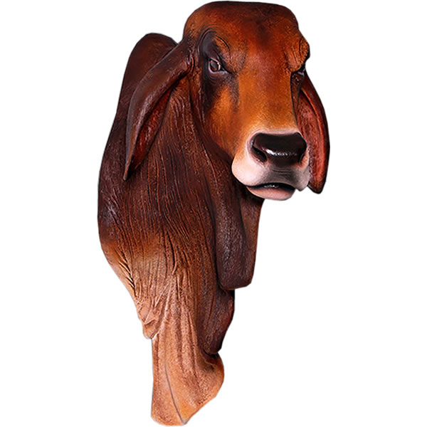 Frpアニマルオブジェ バラモン牛の頭部 壁掛け ブラウン 置物 動物 ウシ うし 剥製 動物園 店舗 カフェ 喫茶店 レストラン 飲食店 インテリア イベント ディスプレイ 実物大 等身大 リアル Whlny Hostalbuenosaires Cat