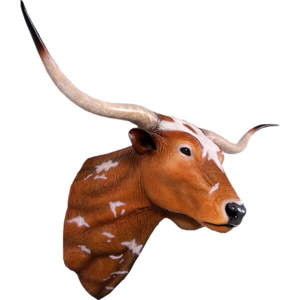 ⏱SALE！テキサスロングホーン　牛　角　バッファロー　スカル アメリカン ⏱SALE！テキサスロングホーン 牛 角 バッファロー スカル