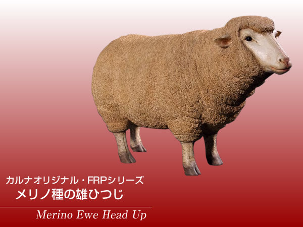 楽天市場 Frpアニマルオブジェ メリノ種の雌ひつじ 置物 動物 羊 ヒツジ 動物園 店舗 カフェ 喫茶店 レストラン 飲食店 インテリア イベント ディスプレイ 実物大 等身大 リアル Whlny 通販ショップcaruna