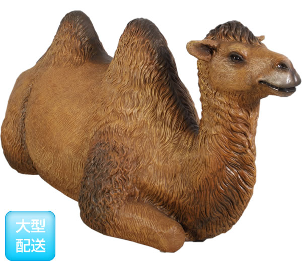 Frpアニマルオブジェ 休息するひとこぶラクダ 置物 動物 駱駝 らくだ 砂漠 動物園 店舗 カフェ 喫茶店 レストラン 飲食店 インテリア イベント ディスプレイ 実物大 等身大 リアル Whlny Prescriptionpillsonline Is