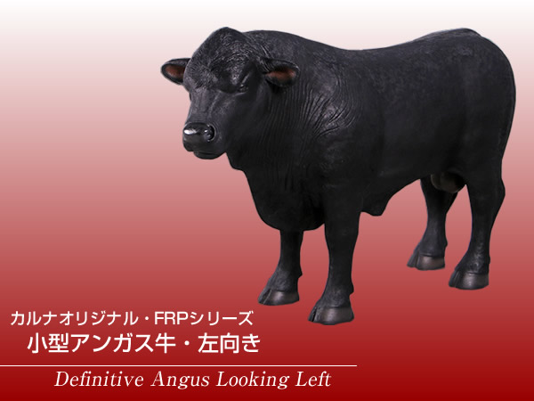 Frpアニマルオブジェ 小型アバディーンアンガス種雌牛 左向き 居え物 生き物 牛 うし 動物緑地 倉 食堂 ティールーム 食べ物屋 飲食店 インテリア装飾 エベント 露出 実物過激 等身大 即物的 Whlny Ciptasuksesmedika Com