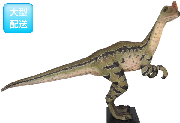 Frp恐竜オブジェ ディロング パラドクサス 飾り付け 白色亜紀 肉食恐竜 生き物大きい脳脚型 ティラノサウルス レックス 試験片 美術館 店舗 出来事 見せびらかす 実物大 等身大 真誠 Whlny Marchesoni Com Br