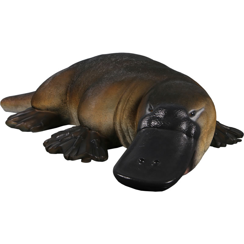 置物 P 楽天市場】大きなカモノハシ Platypus 強化プラスチック (FRP