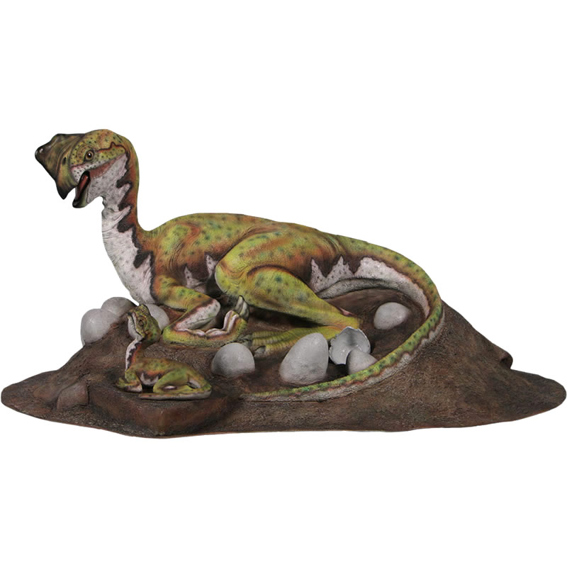 楽天市場】FRP恐竜オブジェ オヴィラプトル Oviraptor Nest リアル