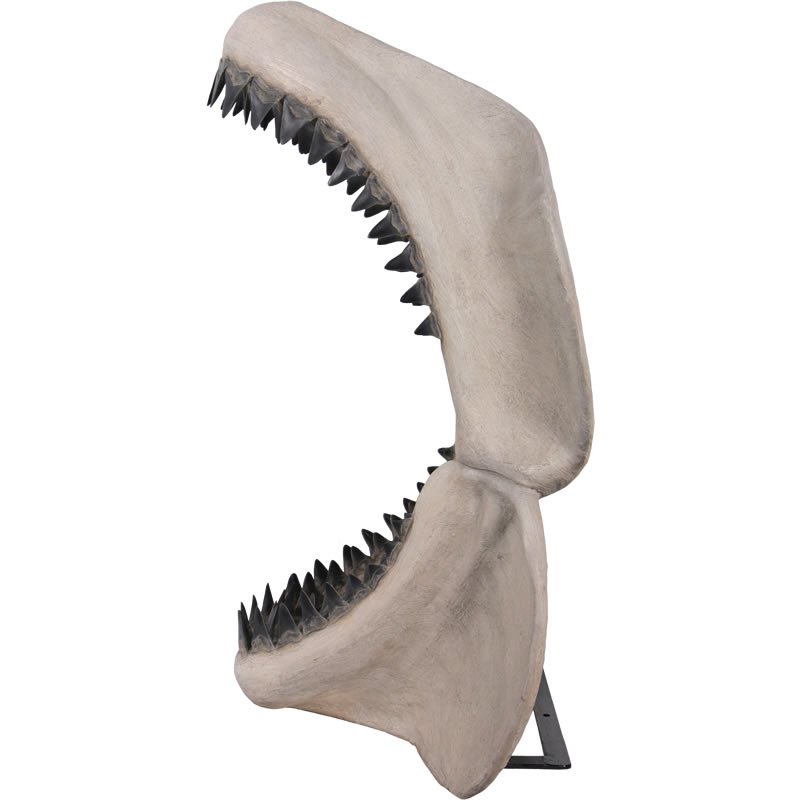 Frp恐竜オブジェ メガロドンジョーズの歯の化石置物 さめ サメ 鮫