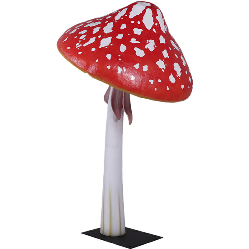 きのこ 61xSfRoj5XL._AC_UF350,