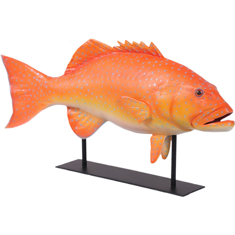 【美品】38cm ピラニア オレンジ（樹脂製）fish craft REAL製作 Amazon | ハンドメイド 38cmピラニア壁掛け 魚模型 牙魚 熱帯魚