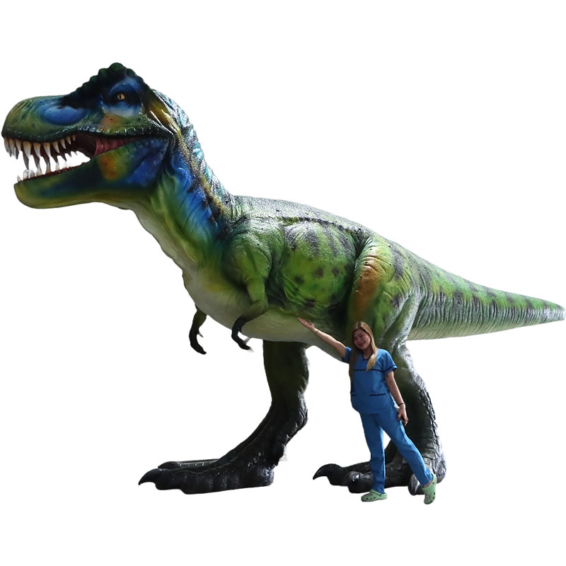 楽天市場】FRP恐竜オブジェ 歩くティーレックス置物 白亜紀 肉食恐竜