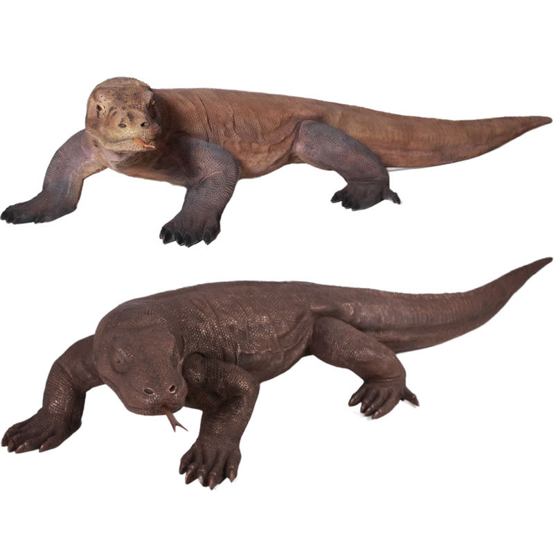 楽天市場】コモドドラゴンの木彫り 50cm コモドオオトカゲの置物