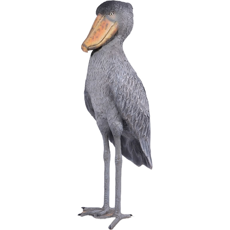 SHOEBILL ハシビロコウ 新品 未使用 楽天市場】立つハシビロコウ Shoebill Stork 強化プラスチック
