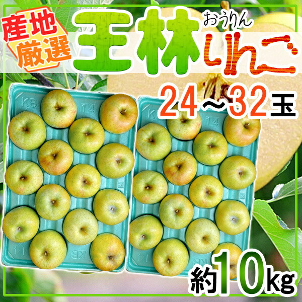 産地厳選ジョナゴールド　12〜16玉　約5kg クール便発送 産地厳選ジョナゴールド 12〜16玉 約5kg クール便発送 産地厳選