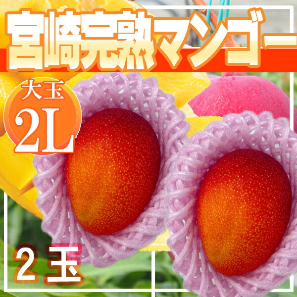 宮崎県産　宮崎完熟マンゴー　2玉　2L　クール便発送