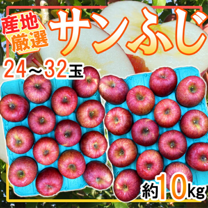 産地厳選　サンふじ　24～32玉　約10キロ