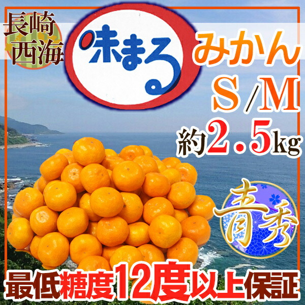 楽天市場】長崎県産 味まるみかん S〜M 約2.5キロ 赤秀 : ふるふぁみストア