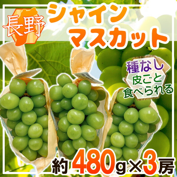 マスカット2500mlセット SUNTORY サントリー プレミアム 2種のマスカット 280ml ペットボトル