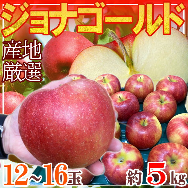 産地厳選　ジョナゴールド　12～16玉　約5キロ　クール便発送