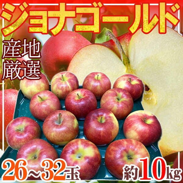 産地厳選　ジョナゴールド　26～32玉　約10kg　クール便発送