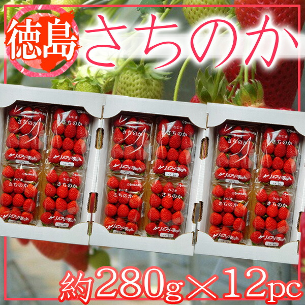 徳島県産　さちのか　1パック約280ｇ×12パック