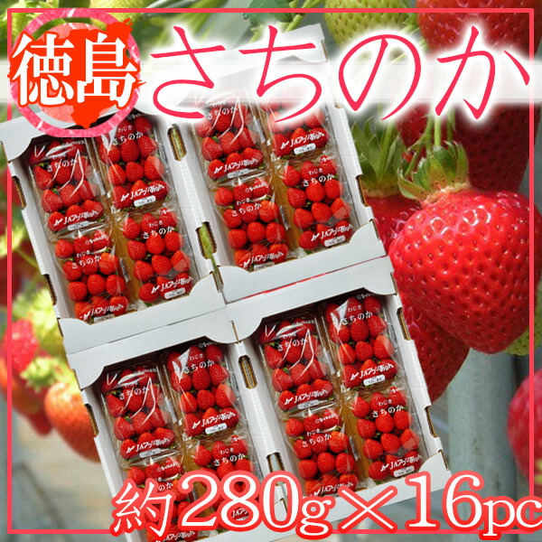 徳島県産　さちのか　1パック約280ｇ×16パック