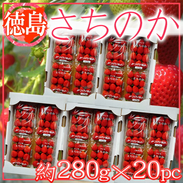 徳島県産　さちのか　1パック約280ｇ×20パック