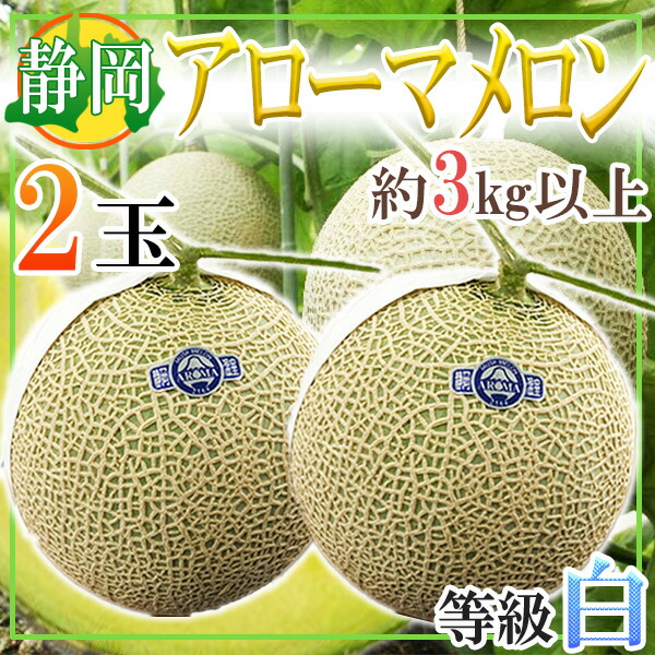 楽天市場】飯岡オルフェメロン通販 千葉県産販売 果肉は緑色