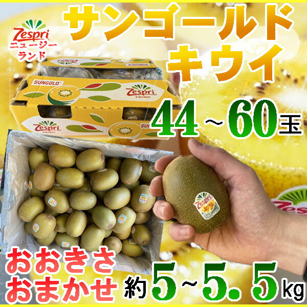 ニュージーランド産　サンゴールドキウイ　おおきさおまかせ　44～60玉前後　約5～5.5キロ