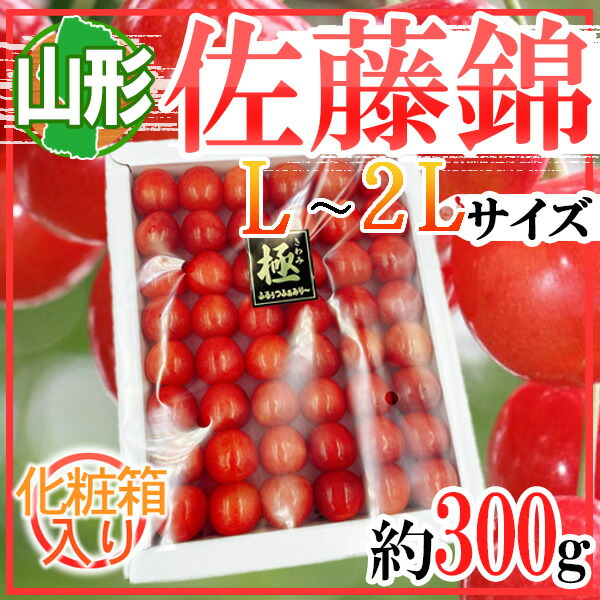 山形県産　佐藤錦　さくらんぼ　L-2L　約300g　化粧箱入り