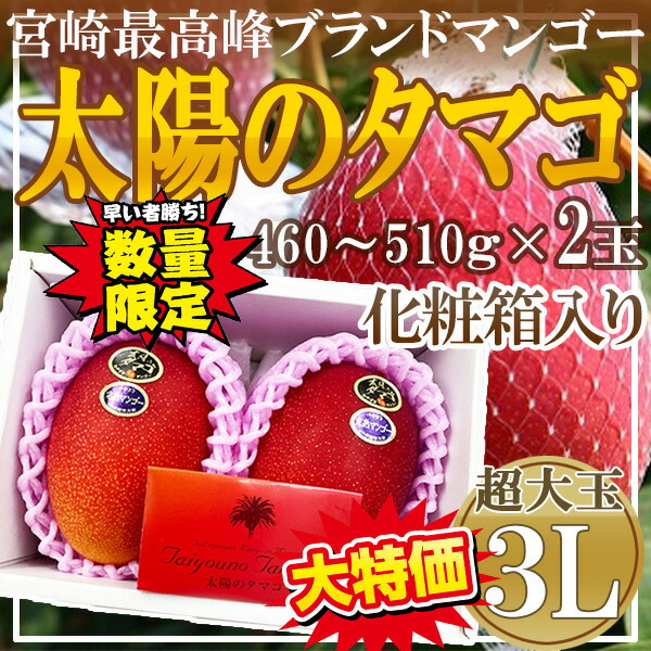 数量限定大特価！！　宮崎県産　太陽のタマゴ　3L　2玉　化粧箱入り　※クール便発送