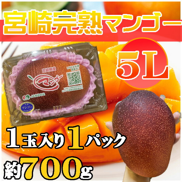 宮崎県産　宮崎完熟マンゴー　5L　1玉　約700g　クール便発送