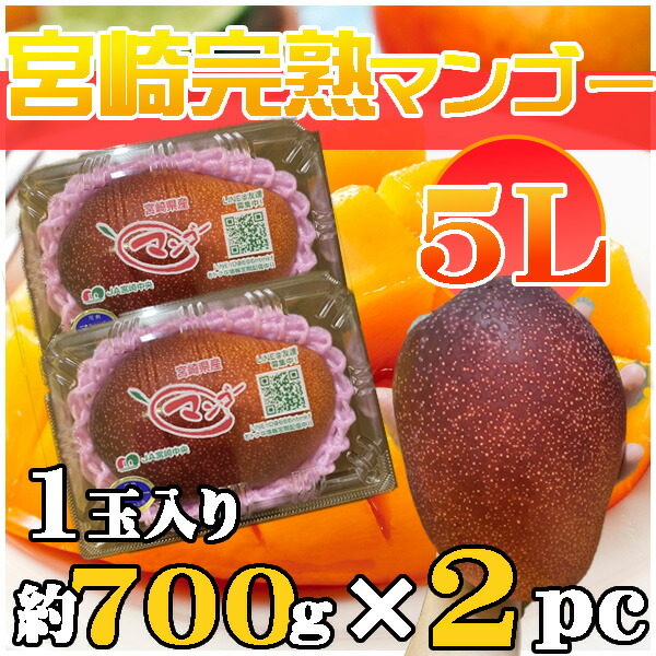 宮崎県産　宮崎完熟マンゴー　5L　1玉約700g×2パック　クール便発送