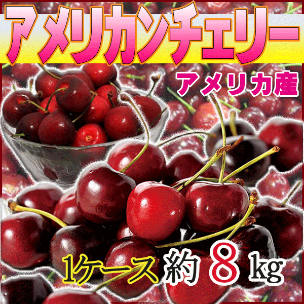 アメリカ産　アメリカンチェリー　1ケース　約8kg