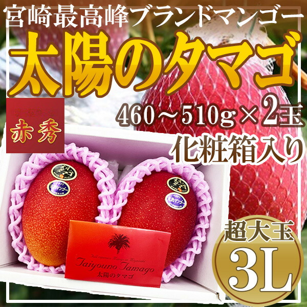 宮崎県産　太陽のタマゴ　3L　2玉　化粧箱入り　赤秀　※クール便発送