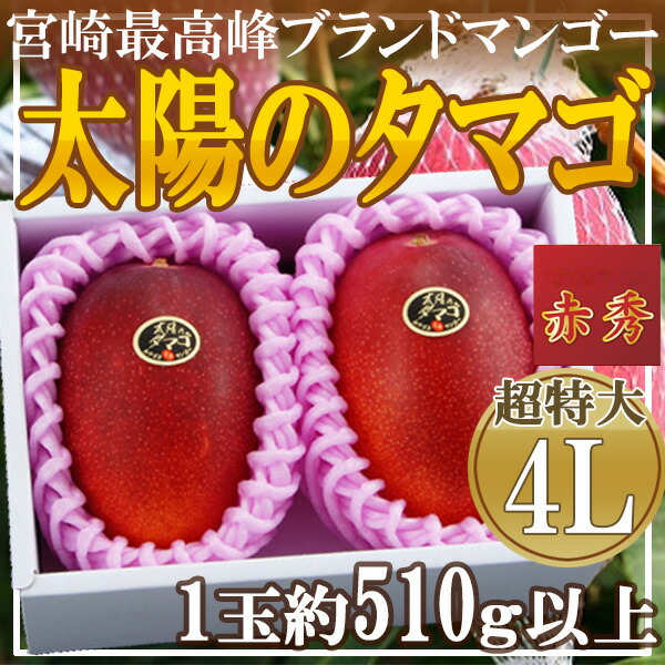 宮崎県産　太陽のタマゴ　4L　1玉約510g以上　2玉　化粧箱入り　赤秀　クール便