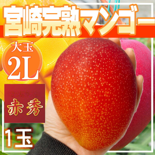 宮崎県産　宮崎完熟マンゴー　1玉　2L　赤秀　クール便発送