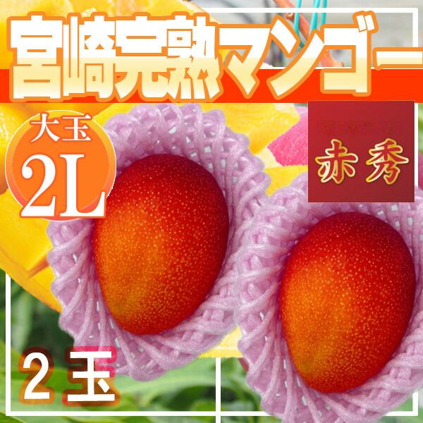 宮崎県産　宮崎完熟マンゴー　2玉　2L　赤秀　クール便発送