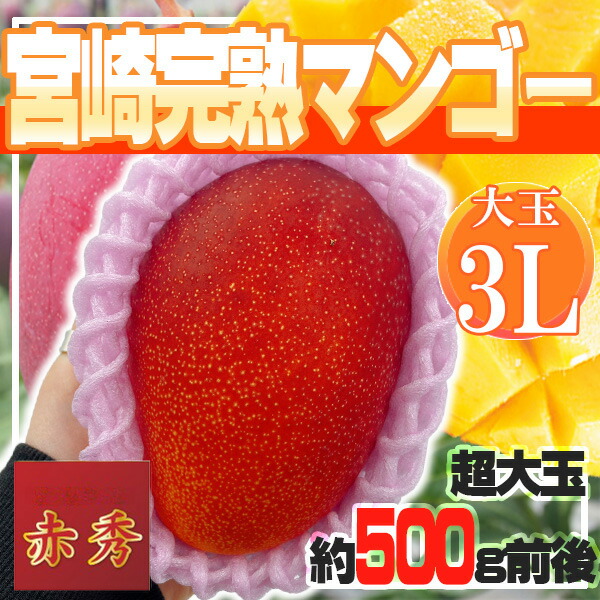 宮崎県産　宮崎完熟マンゴー　1玉　3L　赤秀　クール便発送