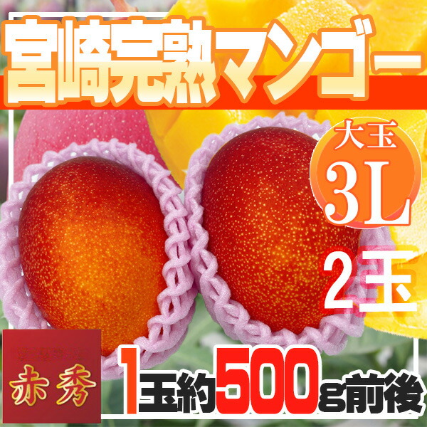 宮崎県産　宮崎完熟マンゴー　2玉　3L　赤秀　クール便発送