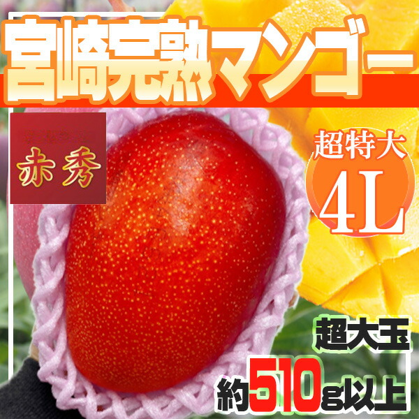 宮崎県産　宮崎完熟マンゴー　4L　1玉　超特大　約510g以上　赤秀　クール便発送